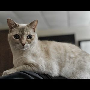 Meet your Posher, Catherine